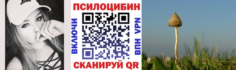 Купить где  Благовещенск  Галлюциногенные грибы мицелий 
